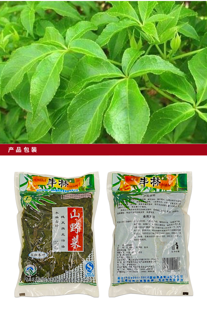  五加参叶 伊春乐鱼官网app特产品有限责任公司 伊春乐鱼官网app特产品
